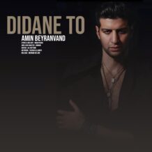 آهنگ جدید امین بیرانوند به نام دیدن تو